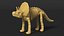 Triceratops Dinosaur Skeleton Toy