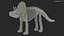 Triceratops Dinosaur Skeleton Toy