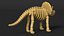 Triceratops Dinosaur Skeleton Toy