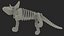Triceratops Dinosaur Skeleton Toy