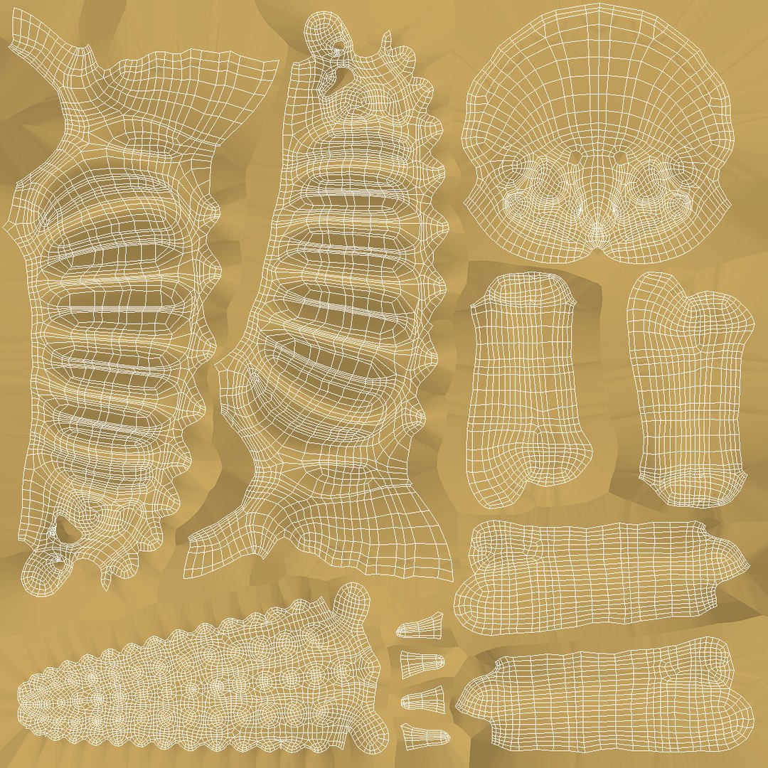 Triceratops Dinosaur Skeleton Toy 3D model https://p.turbosquid.com/ts-thumb/a0/TJ7bed/hd/triceratopsdinosaurskeletontoy3dsmodel017/jpg/1705390622/1920x1080/fit_q87/063a0b808faafb7f313c3423ee875e489ed05fbe/triceratopsdinosaurskeletontoy3dsmodel017.jpg