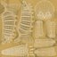 Triceratops Dinosaur Skeleton Toy