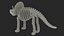 Triceratops Dinosaur Skeleton Toy
