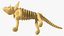 Triceratops Dinosaur Skeleton Toy