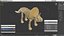 Triceratops Dinosaur Skeleton Toy