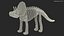 Triceratops Dinosaur Skeleton Toy