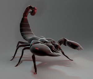 3D arachnid scorpion model
