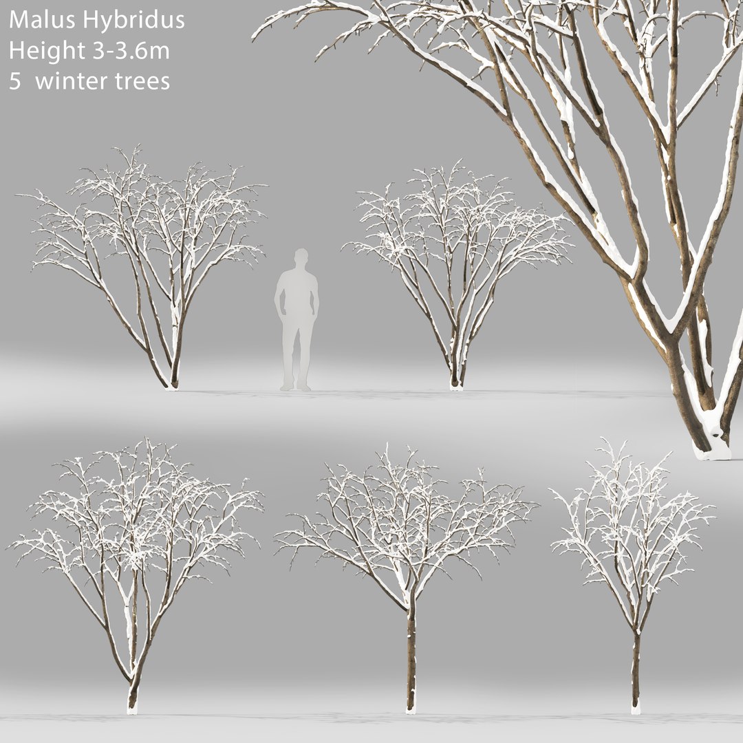 3D winter apple https://p.turbosquid.com/ts-thumb/a0/plwPzM/C5/z/jpg/1613322845/1920x1080/fit_q87/295f08246521df23971c2fa10533cfe79d75c8e3/z.jpg