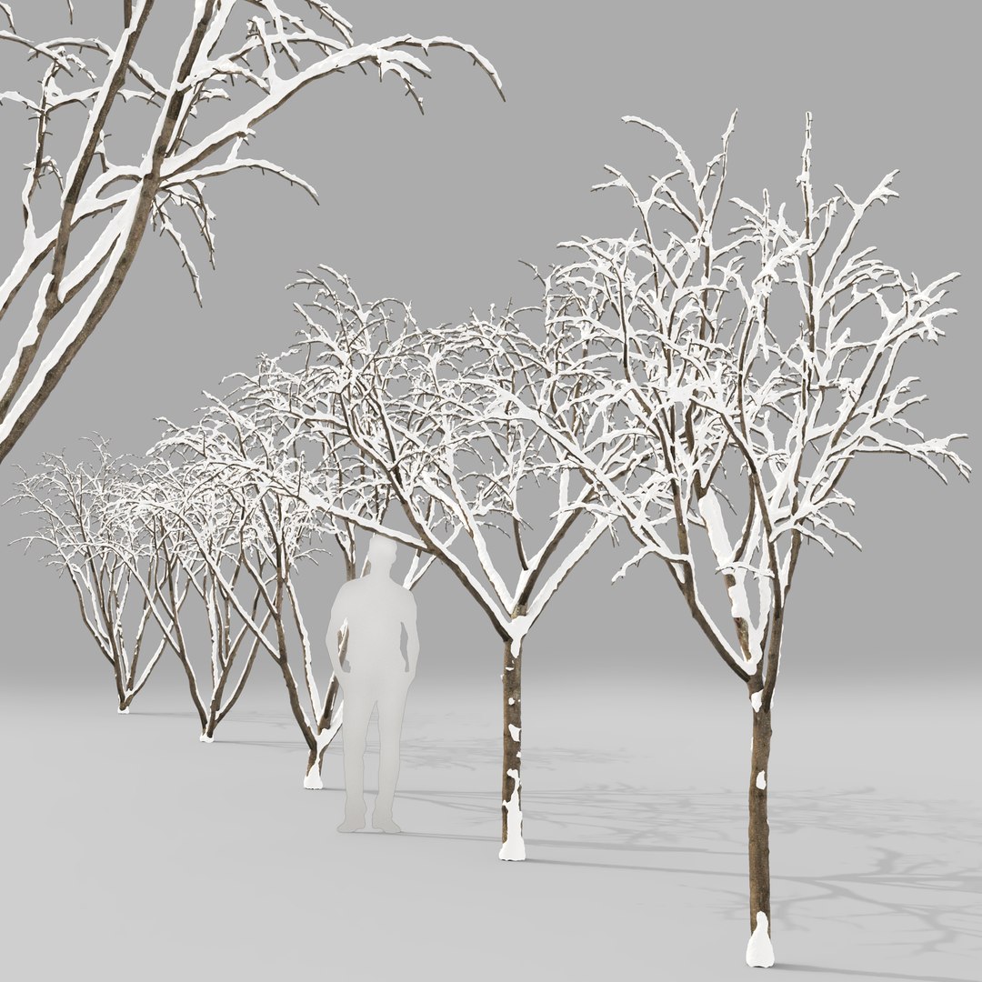 3D winter apple https://p.turbosquid.com/ts-thumb/a0/plwPzM/QO/2/jpg/1613322845/1920x1080/fit_q87/18e0ee2c6a0e85f5f7724efcc381d9ecd70e3d35/2.jpg