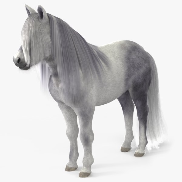 White Pony with Long Mane Fur 3D model