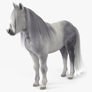 White Pony with Long Mane Fur