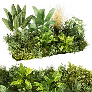 Collection plant vol 456 - indoor - garden - leaf - 3dsmax - cinema 4d 3D model