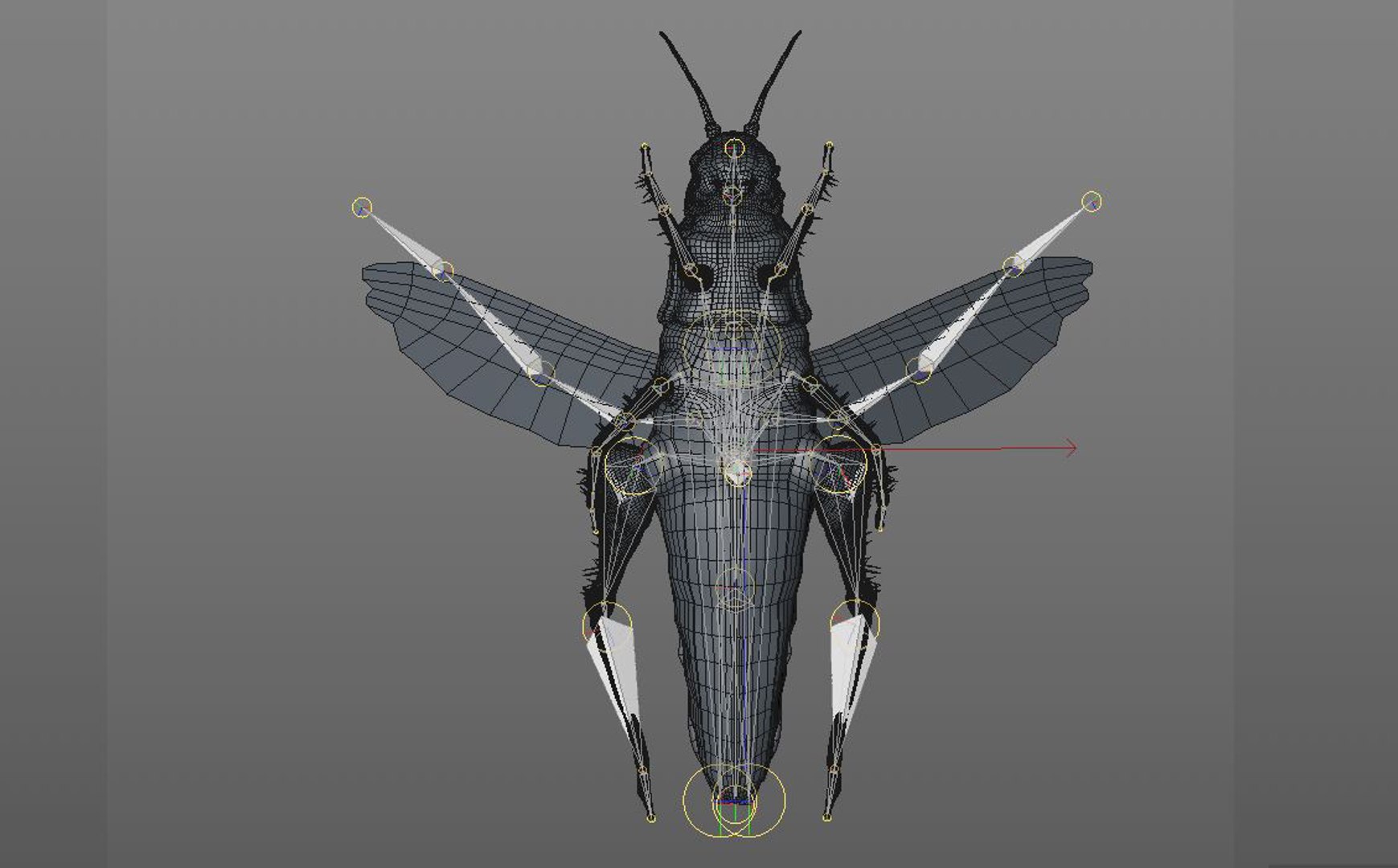 3D model rigged - TurboSquid 1537222