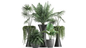 3D plants decorative flowerpots