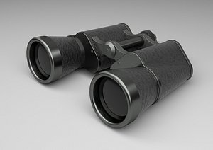 Binoculars model