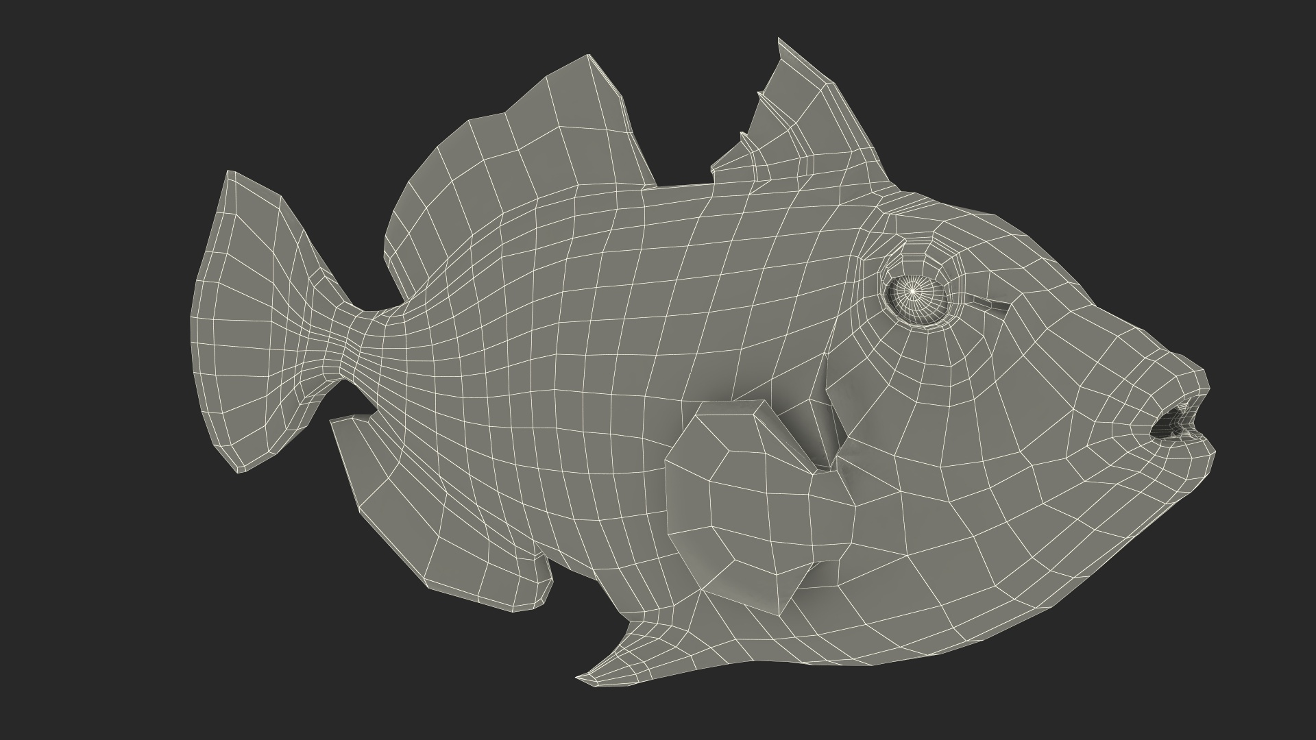 Realistic Clown Trigger Fish 3D - TurboSquid 2311814