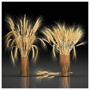 3D Decorative bouquet of wheat ears in a vase for decor 123 model