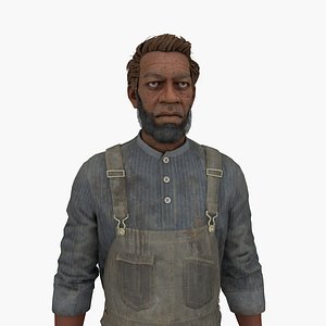 Farmer Craig model