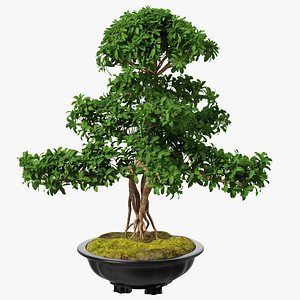 bonsai tree plastic pot 3D model