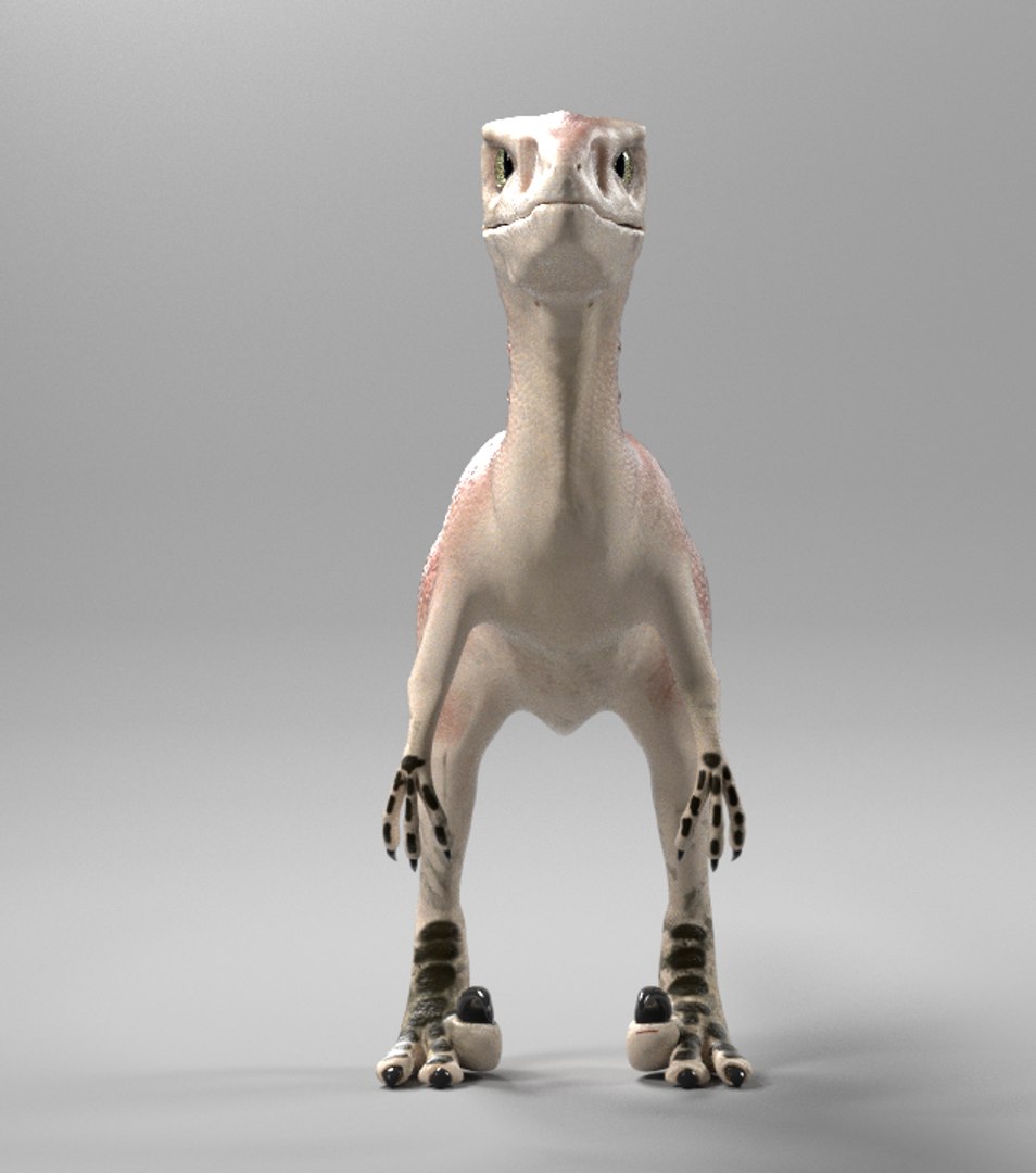 3D dinosaur model https://p.turbosquid.com/ts-thumb/a1/UiED5d/hgY8QNj5/raptor_display2/png/1494177834/1920x1080/fit_q87/a26e90b90e3c8f9c20dd20750005a8bf4925cc75/raptor_display2.jpg