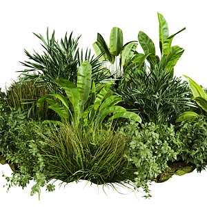 plant vol 740 - outdoor - garden - leaf 3D model