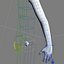 Female Arm