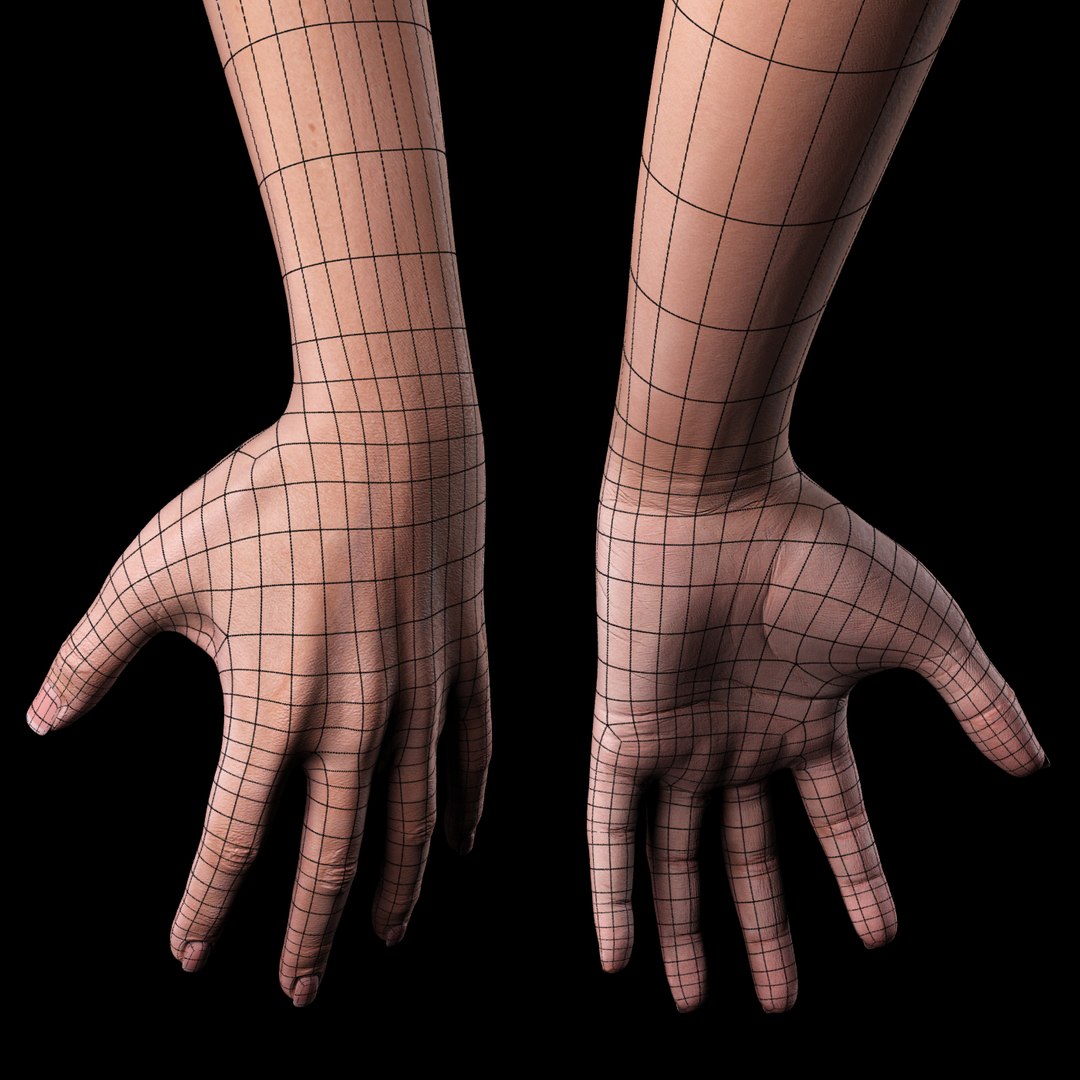 3dsmax female arm https://p.turbosquid.com/ts-thumb/a1/bZw6yZ/SyZYoLWf/010/jpg/1359025517/1920x1080/fit_q87/9f823c4ee032c4d26f30ec676a37aa77b05ed930/010.jpg