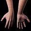 Female Arm