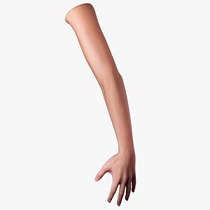 3dsmax female arm