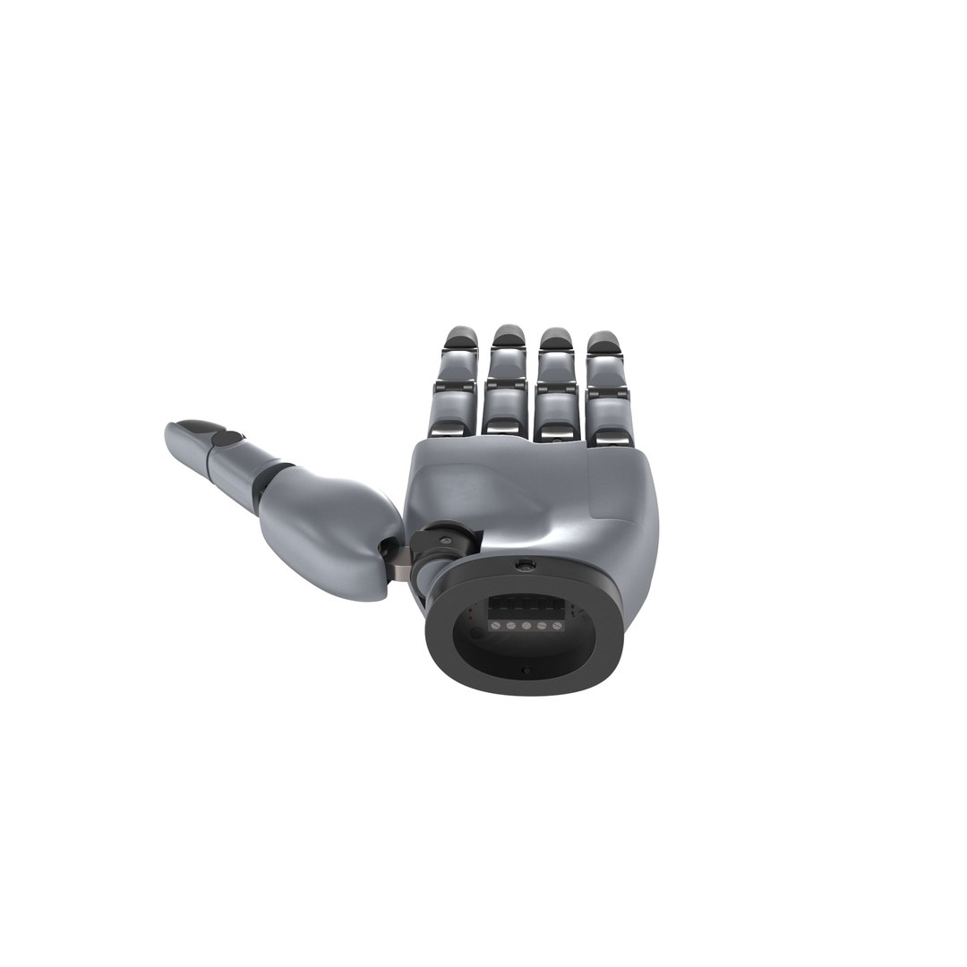 3D Robotic Hand Gray model https://p.turbosquid.com/ts-thumb/a1/dTEC0p/HH/prod_/jpg/1788711429/1920x1080/fit_q87/214abb27bd2a81165638ea65e3087a5a651bcb06/prod_.jpg