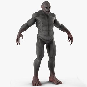 Grey Monster Rigged for Cinema 4D model