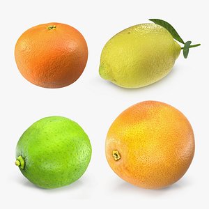 Citrus Fruits Collection 2 3D model