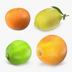Citrus Fruits Collection 2