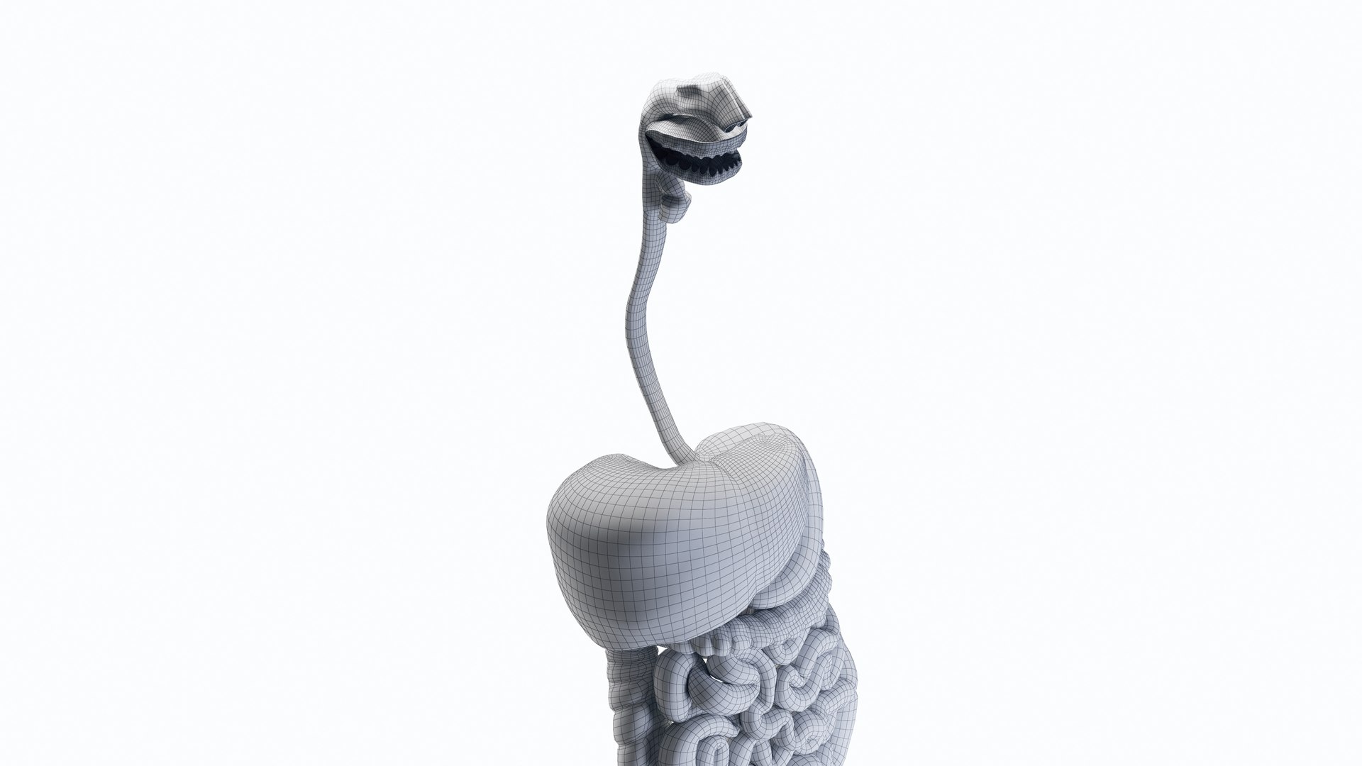 Human Digestive System 3D Model - TurboSquid 2190415