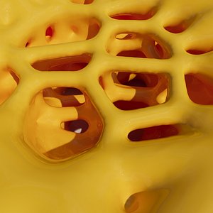 3D Gradient lattice Organic Sculpture 02