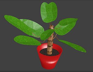 3D potted house plant model