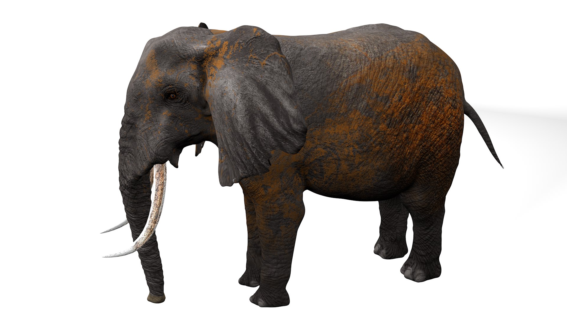 African Elephant RIGGED L2382 - TurboSquid 2395335