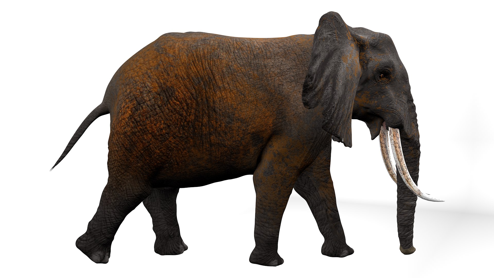 African Elephant RIGGED L2382 - TurboSquid 2395335