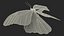 3D Animated Morpho Peleides Butterfly Flies Rigged model