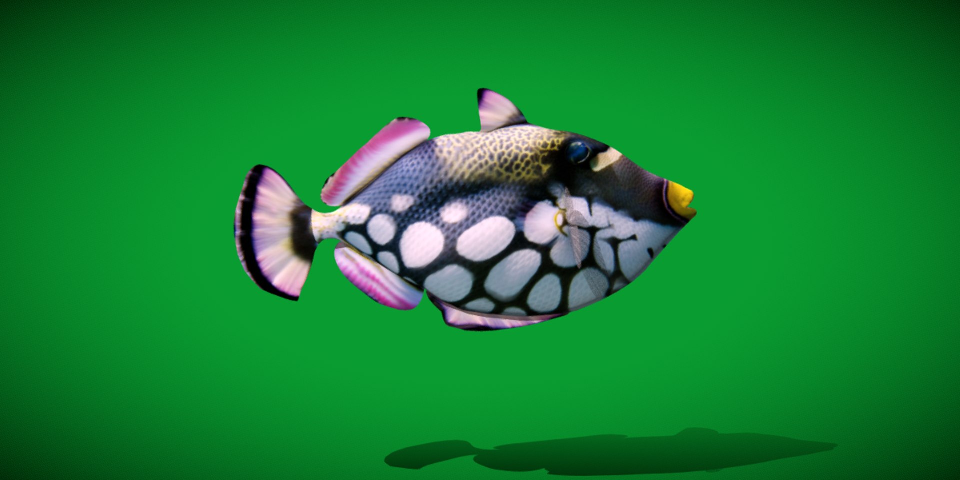 3D Clown Triggerfish - TurboSquid 2388626