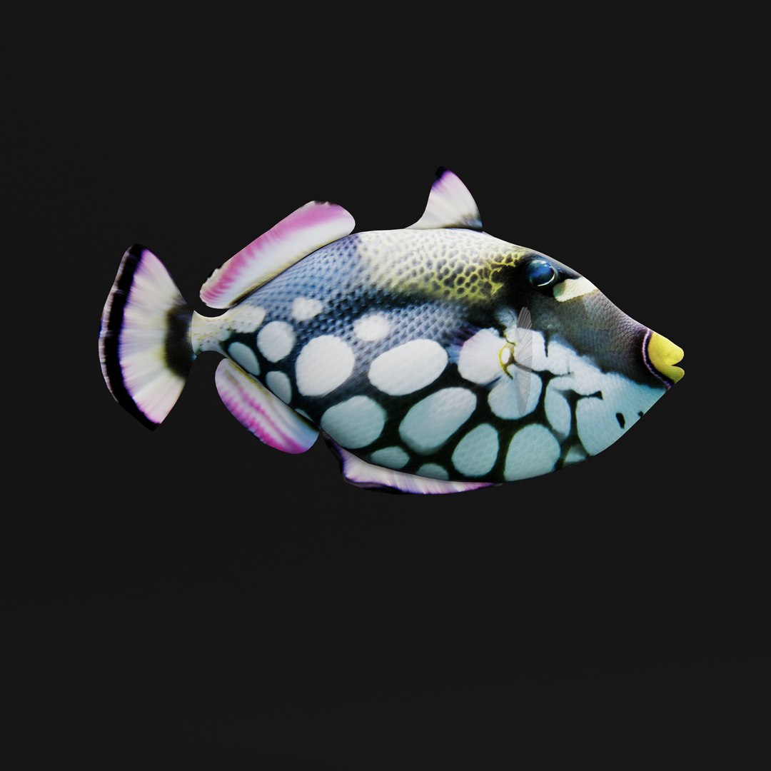 3D Clown Triggerfish - TurboSquid 2388626