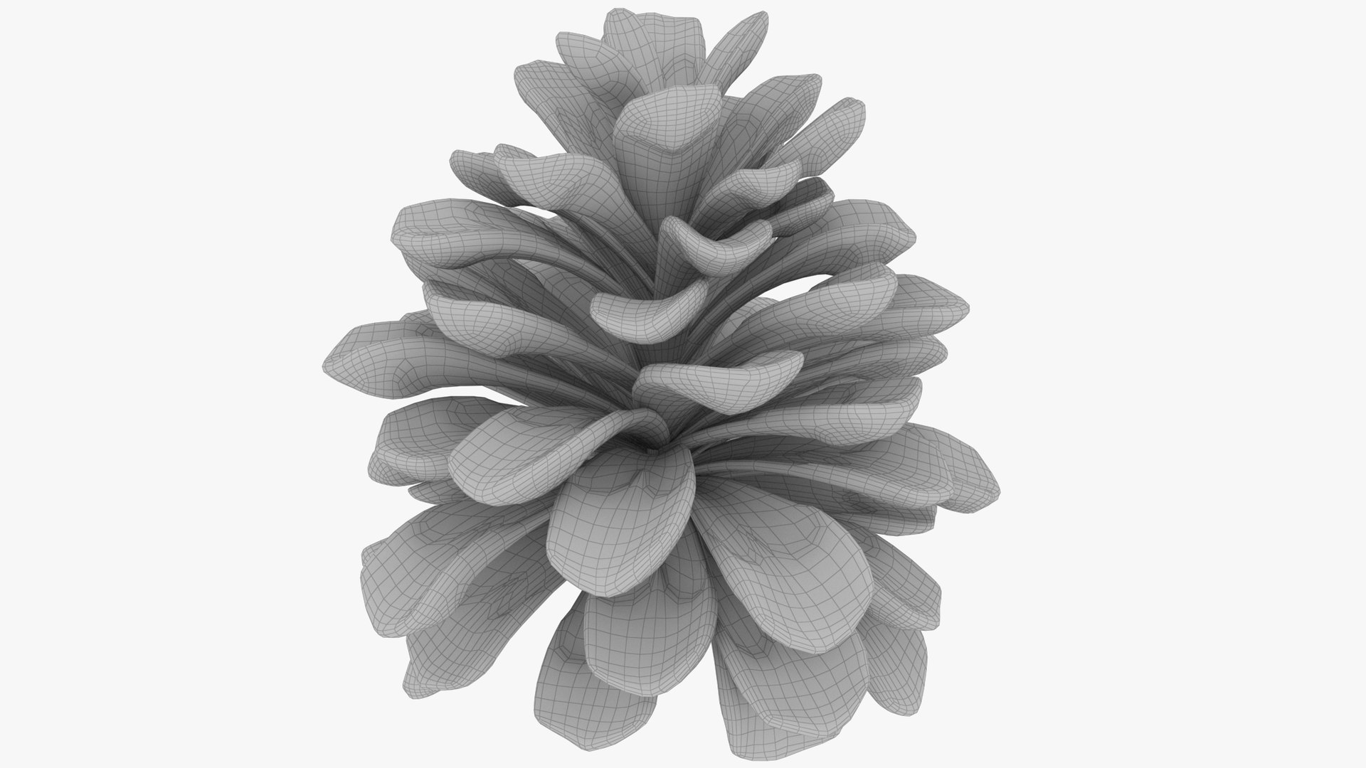 3D Cone V2 https://p.turbosquid.com/ts-thumb/a2/eVqfwg/MK/c2_004_012/png/1699805724/1920x1080/fit_q87/ad2a7ad9bc5793a52195f8cd282815edceacdd7c/c2_004_012.jpg