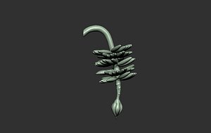 fruits food 3D model