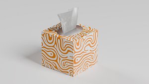 Tissue Box model
