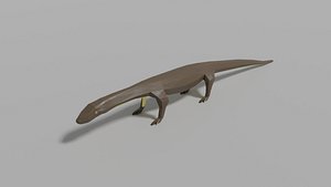 3D model monitor lizard