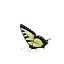 Butterfly Collection Pack 7-12 3D model