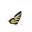 Butterfly Collection Pack 7-12 3D model