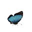 Butterfly Collection Pack 7-12 3D model