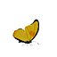 Butterfly Collection Pack 7-12 3D model