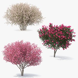 3D flowering bushes trees